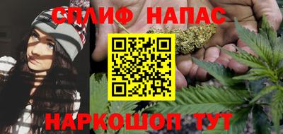 Альфа ПВП Будённовск