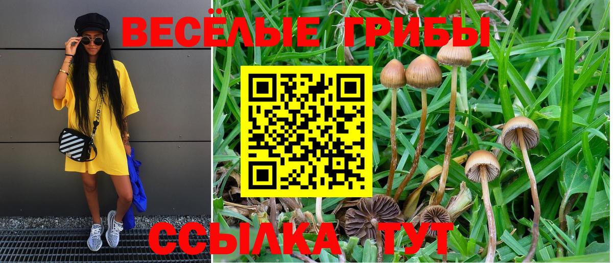 Галлюциногенные грибы мухоморы Каменск-Шахтинский