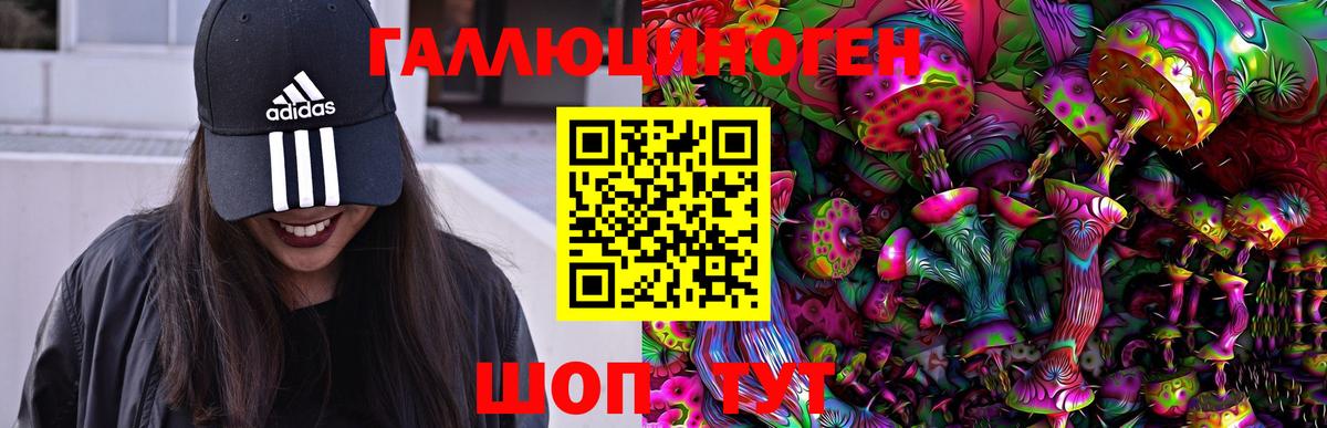 Галлюциногенные грибы Psilocybine cubensis  где найти наркотики  Каменск-Шахтинский  Псилоцибиновые грибы ЛСД  Вход с VPN 